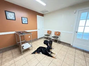 Baccalieu Trail Animal Hospital