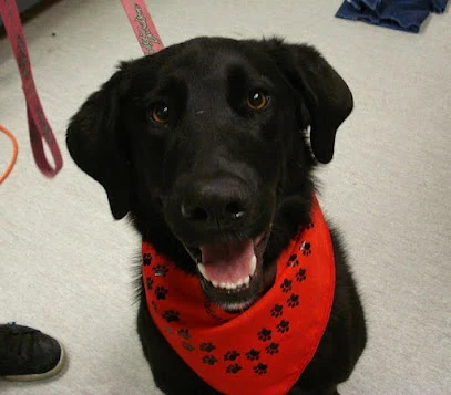 Canadian Animal Blood Bank