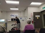Live Blood Analysis