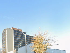 Medical Laboratories of Windsor